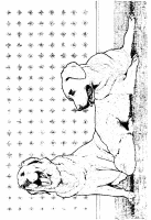 A coloring page of dog