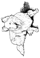 A coloring page of dog