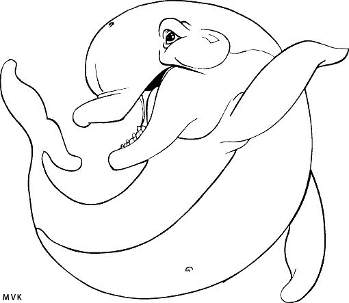 dolphin002