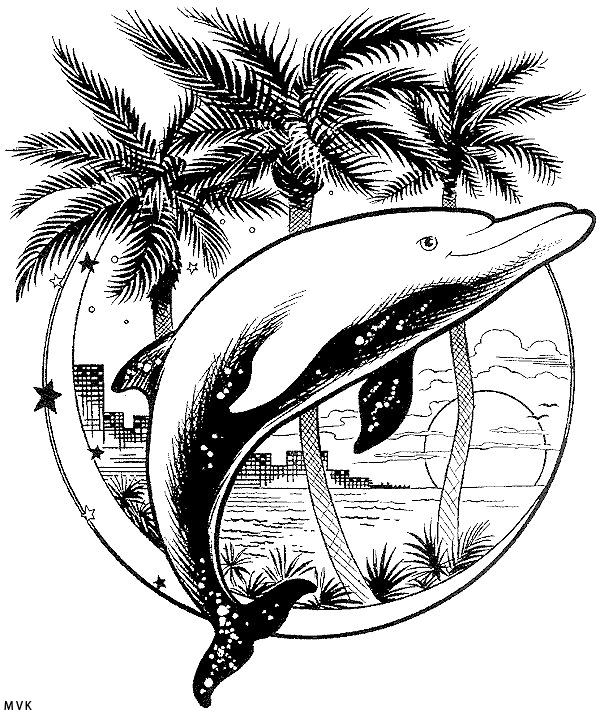 dolphin004