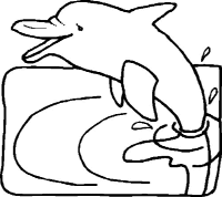 A coloring page of dolphin