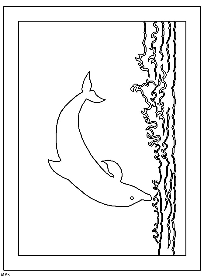 dolphin008