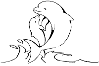 A coloring page of dolphin