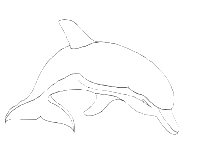 A coloring page of dolphin
