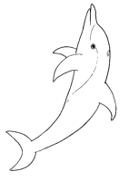 A coloring page of dolphin