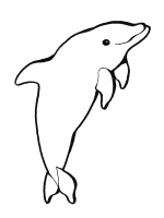 A coloring page of dolphin