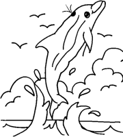 A coloring page of dolphin