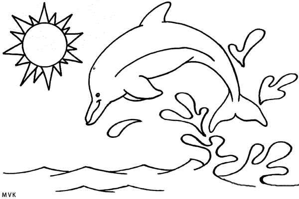 dolphin026