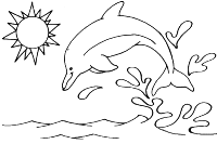 A coloring page of dolphin