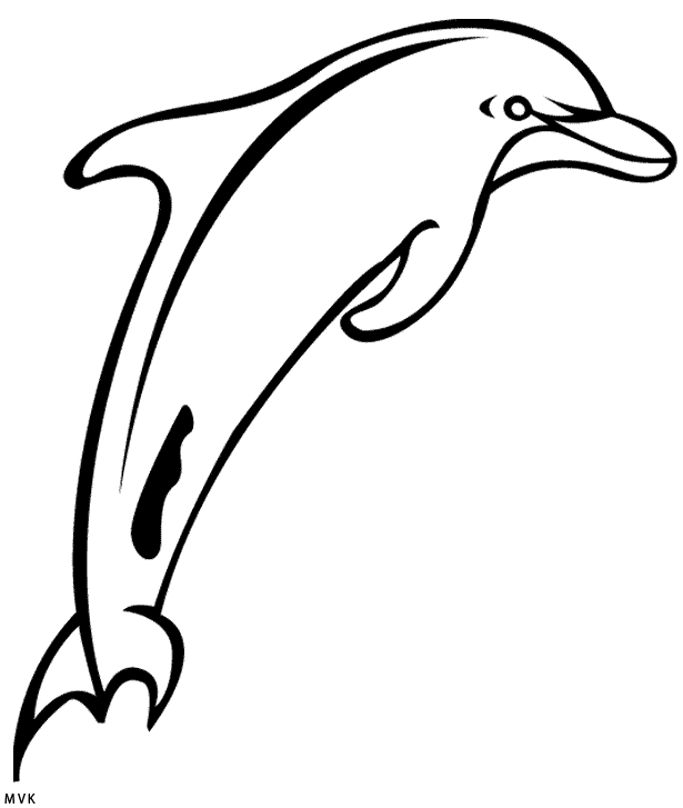 dolphin027
