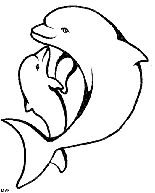 dolphin028