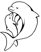 A coloring page of dolphin