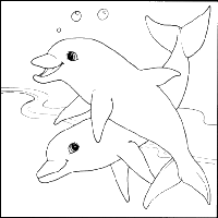 A coloring page of dolphin