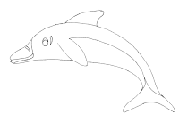 A coloring page of dolphin