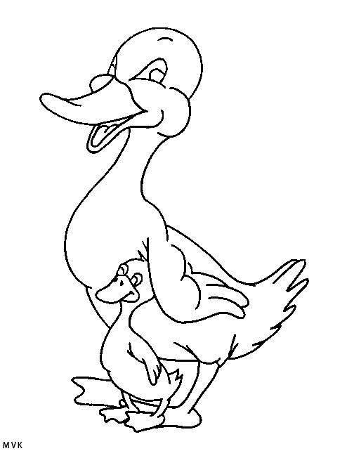 duck011