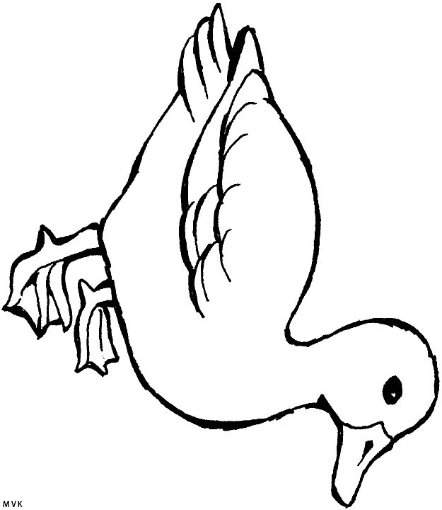 duck015