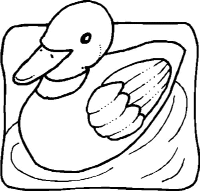 A coloring page of duck