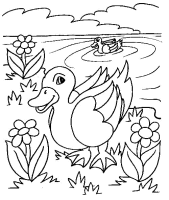 A coloring page of duck
