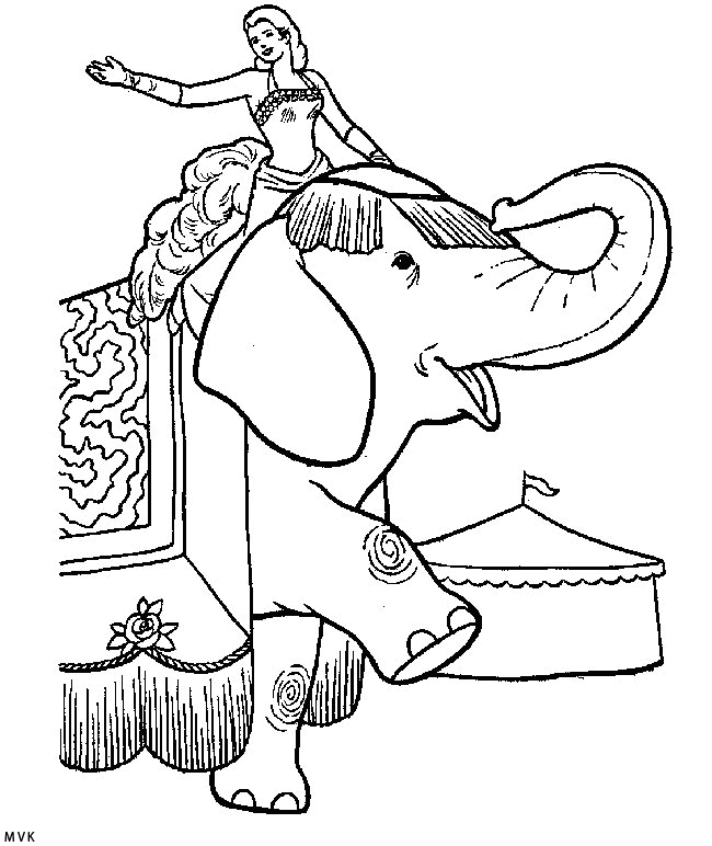 elephant008