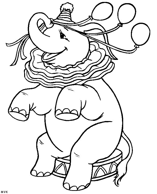 elephant011