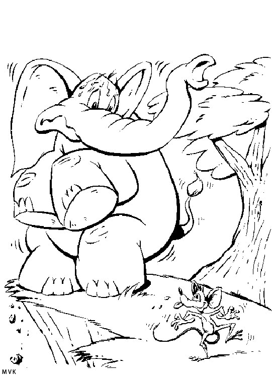 elephant020