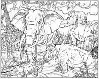 A coloring page of elephant