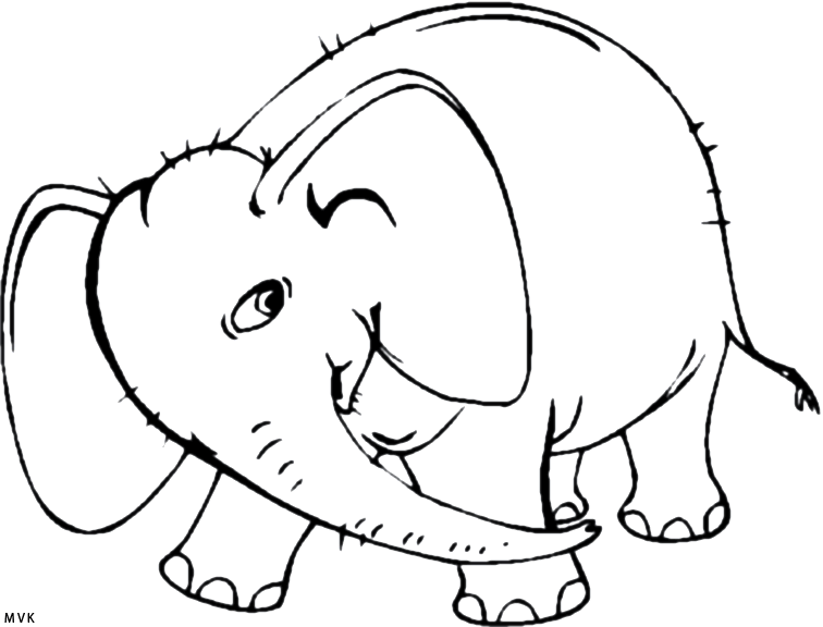 elephant022
