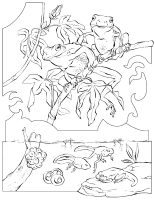 A coloring page of frog