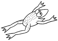 A coloring page of frog
