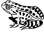 A coloring page of frog