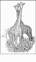 A coloring page of giraffe