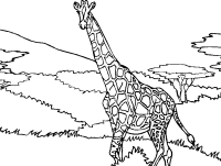 A coloring page of giraffe