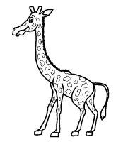 A coloring page of giraffe