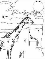 A coloring page of giraffe