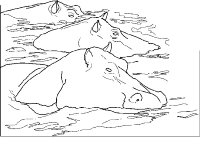 A coloring page of hippopotamus