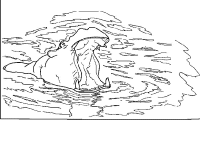 A coloring page of hippopotamus