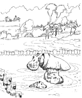 A coloring page of hippopotamus