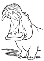 A coloring page of hippopotamus
