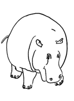 A coloring page of hippopotamus