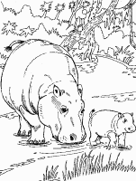A coloring page of hippopotamus
