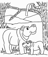 A coloring page of hippopotamus