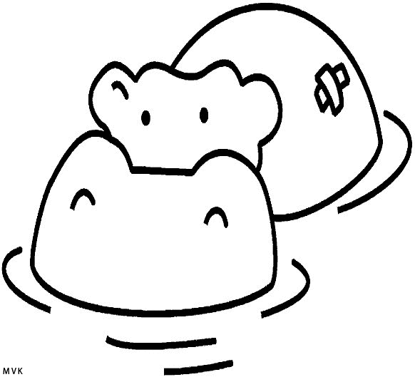 hippopotamus015