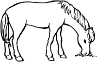 A coloring page of horse