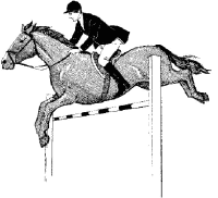 A coloring page of horse