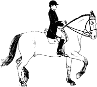 A coloring page of horse