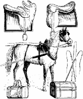 A coloring page of horse