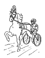 A coloring page of horse