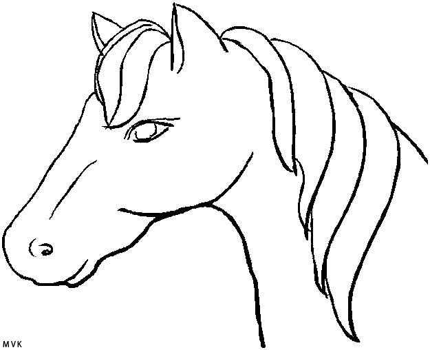 horse015