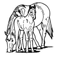 A coloring page of horse