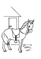 A coloring page of horse